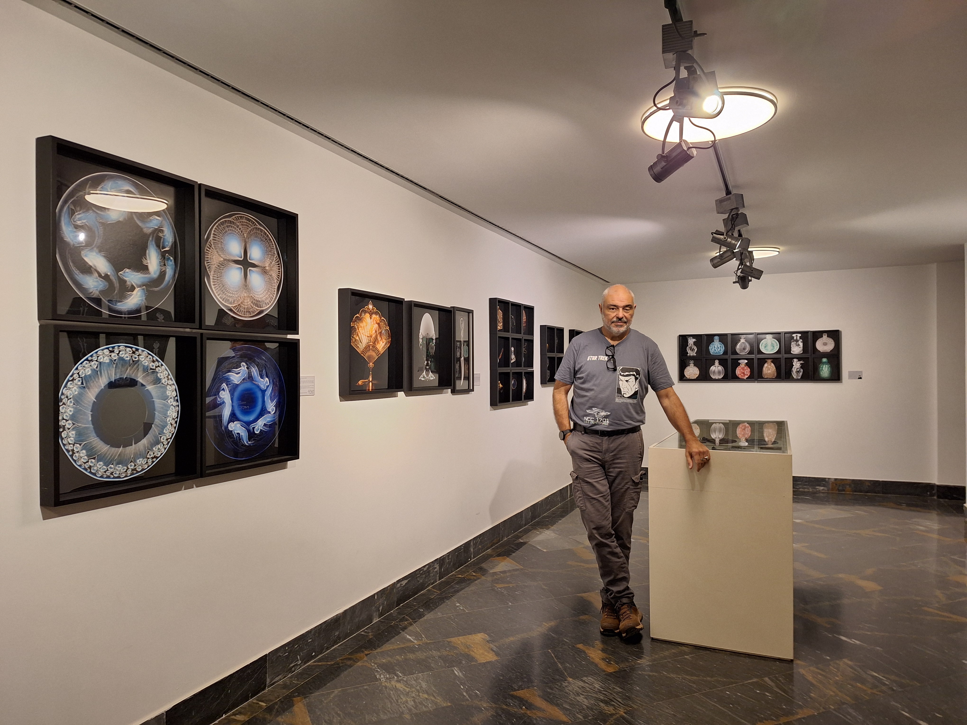 MODERNISMO ALQU�MICO. LA MATERIA DE LOS SUE�OS, de Senda de Lobos