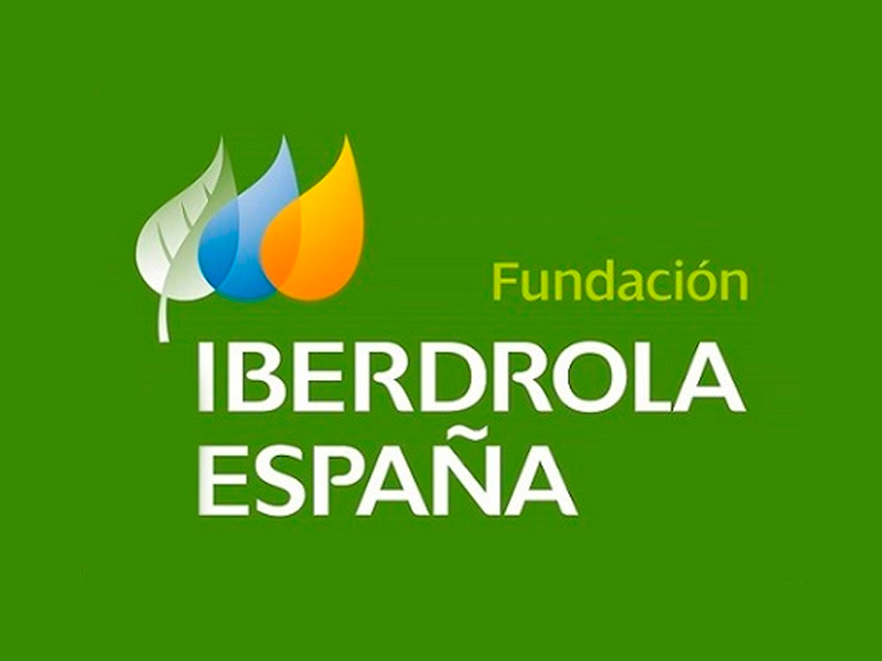 Iberdrola Foundation Spain